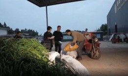 鹤壁耕德最新爆料事件视频,事件视频揭露惊人内幕